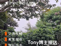 -磁器口古镇