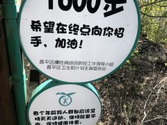 -大岭沟猕猴桃谷风景区