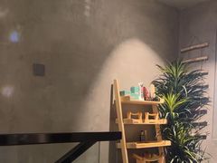 -施奈儿.洗头頭療.按摩SPA.采耳(上梅林店)