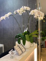 -意廊 Hair Salon