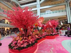 -新城市广场