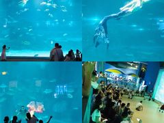 -福州罗源湾海洋世界旅游区
