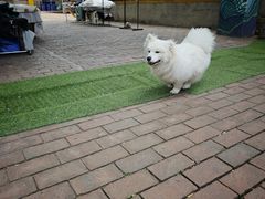 -大理床单厂艺术区