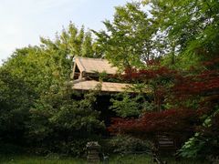 -淹城春秋乐园