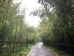 -苏州环秀晓筑养生度假村