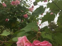 -杭州城北体育公园