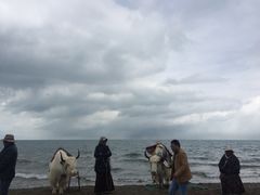 -青海湖国家重点风景名胜区