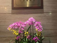 -炳胜公馆(珠江新城店)