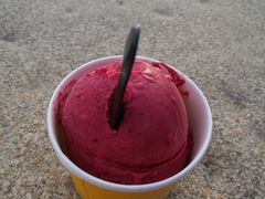 -Patagonia Chocolates(皇后镇店)