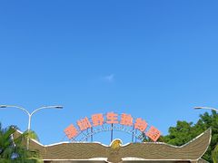 -深圳野生动物园