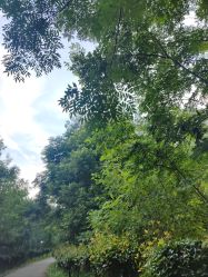 -Zoolung Zoolung动物主题公园(海信广场店)