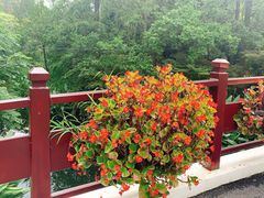 -东平国家森林公园