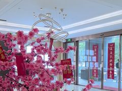 -合肥美奥口腔·种植矫正中心(政务院)