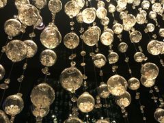 -广州四季酒店·佰鲜汇·现代法餐