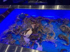 -SEA西雅图海鲜自助餐厅(海乐世界店)