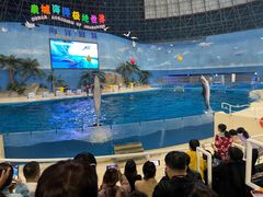 -泉城欧乐堡海洋极地世界