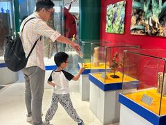 -上海昆虫博物馆