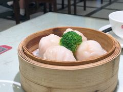 -南枝记
