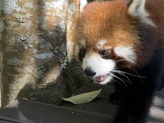 -普洱太阳河森林公园