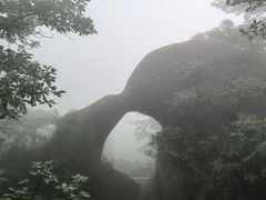 -六里坪国家森林公园
