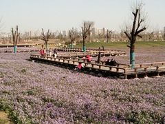 -汉长安城未央宫国家考古遗址公园