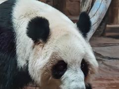 -秦皇岛野生动物园