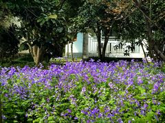 -上海怡沁园度假酒店