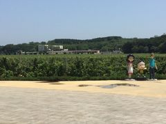 -北京张裕爱斐堡酒庄