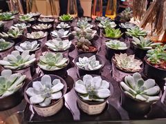 -七鲜超市(万向城店)