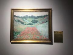 -印象莫奈时光映迹艺术展