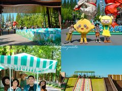 -黄海国家森林公园