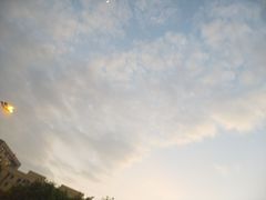 -盛记顺德高佬猪杂粥