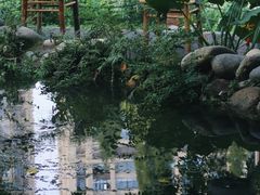 -成都市活水公园