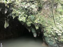 -怀托摩萤火虫洞