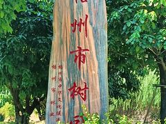 -白云山风景名胜区