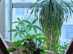 -沐春秋茶书院·茶室.茶馆.商务包房(知春路店)