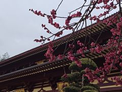 -庐山风景名胜区-东林大佛
