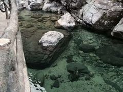 -石台牯牛降景区