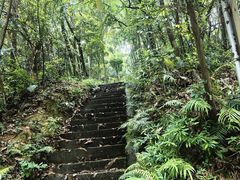 -广州市帽峰山景区