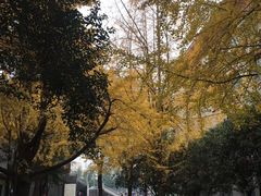 -四川大学(华西校区)