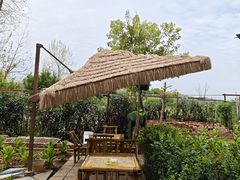 -苏记溪河鲢鱼庄(天府新区店)