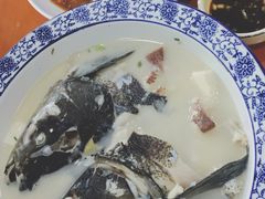 -全乐鱼馆·淳牌有机鱼直营店
