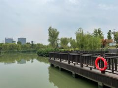 -九科绿洲