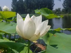 -东郊湿地公园