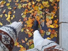 -中央财经大学-食堂