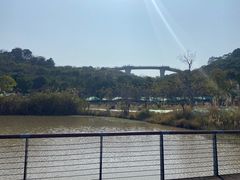 -飞凤山奥体公园