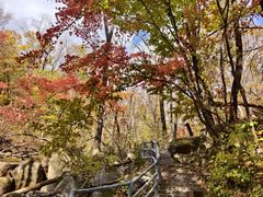 -三块石国家森林公园