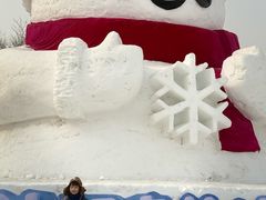 -沈阳奥体冰雪嘉年华
