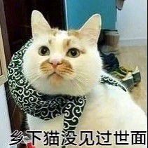-华荣哲绿豆饼(泰安店)
