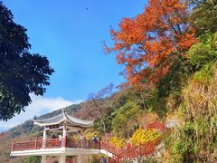 -广州市石门国家森林公园